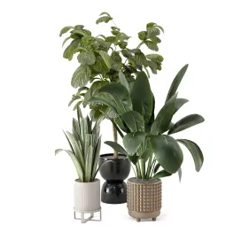 Indoor plants in ferm living bau pot large